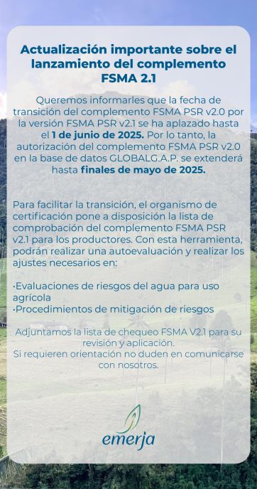 informe